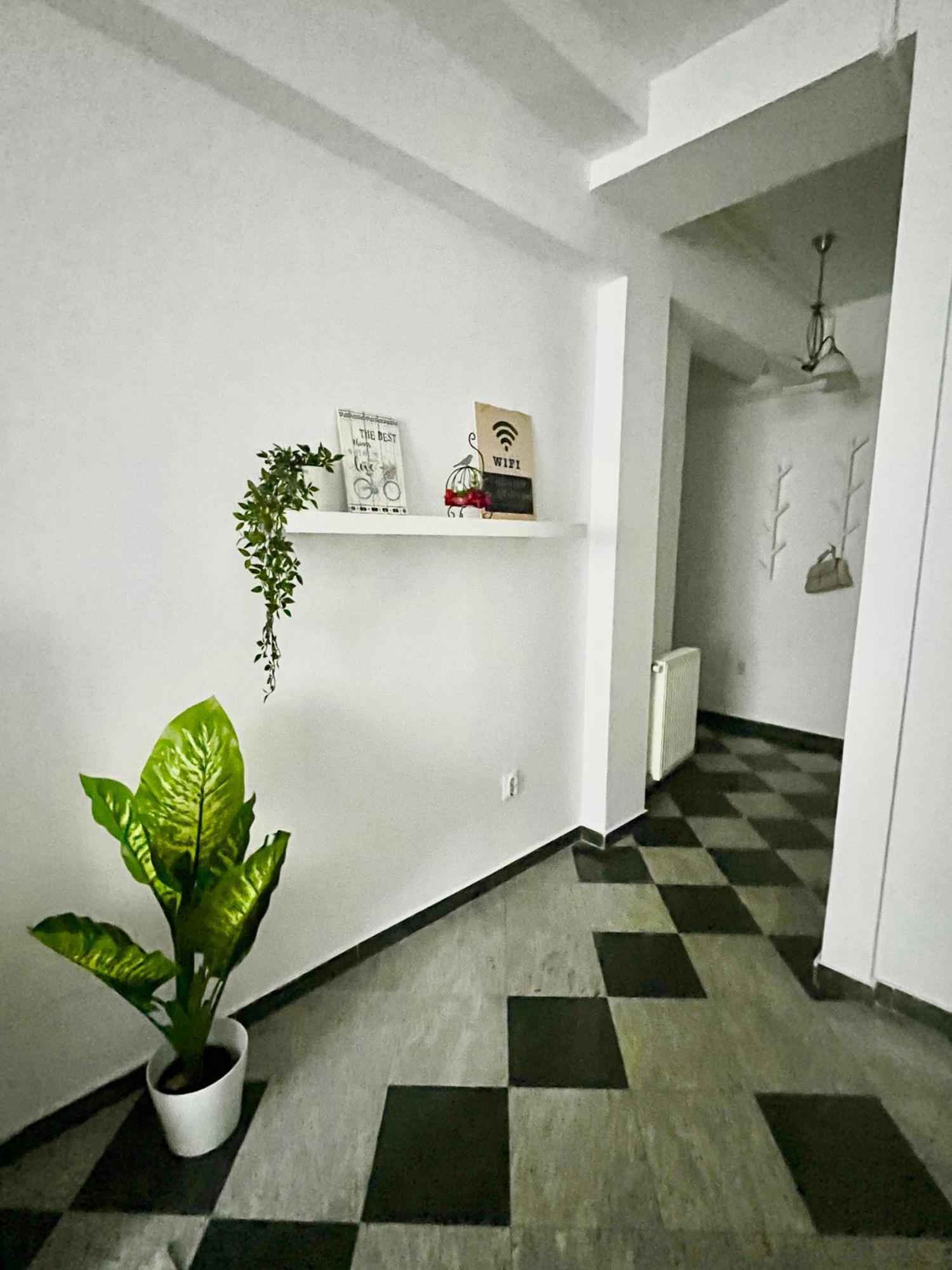 Victoriei Spacious Studio Bucareste Exterior foto